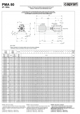 Горизонтальные многоступенчатые насосы высокого давления Caprari PMA 80 2900 Горизонтальные многоступенчатые насосы высокого давления Caprari PMA 80 2900