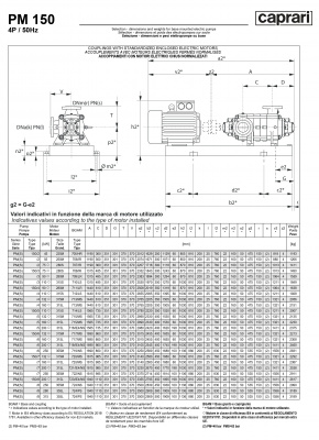 Горизонтальные многоступенчатые насосы высокого давления Caprari PM 150 2000 Горизонтальные многоступенчатые насосы высокого давления Caprari PM 150 2000