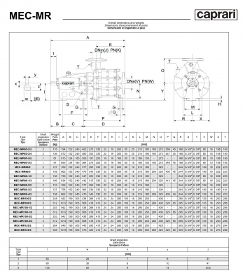 Горизонтальные многоступенчатые насосы Caprari MEC-MR 3500 Горизонтальные многоступенчатые насосы Caprari MEC-MR 3500