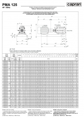 Горизонтальные многоступенчатые насосы высокого давления Caprari PMA 125 1750 Горизонтальные многоступенчатые насосы высокого давления Caprari PMA 125 1750