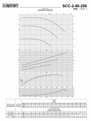 Горизонтальные насосы двустороннего входа Caprari SCC-2-80-250 2900 Горизонтальные насосы двустороннего входа Caprari SCC-2-80-250 2900