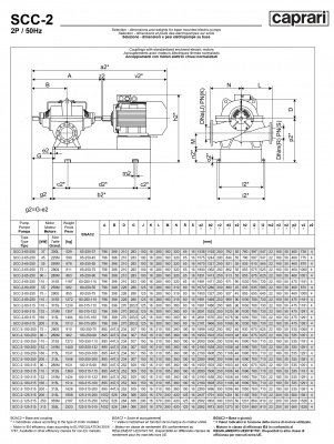 Горизонтальные насосы двустороннего входа Caprari SCC-2-80-315 1450 Горизонтальные насосы двустороннего входа Caprari SCC-2-80-315 1450