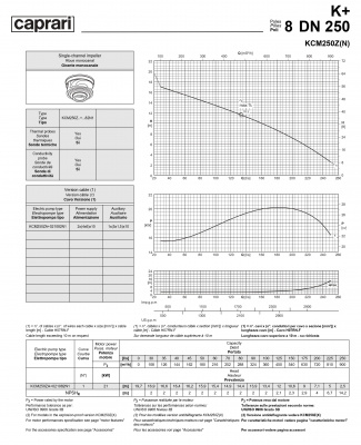 Погружные канализационные элктронасосы Caprari KCM250Z(N) Погружные канализационные элктронасосы Caprari KCM250Z(N)