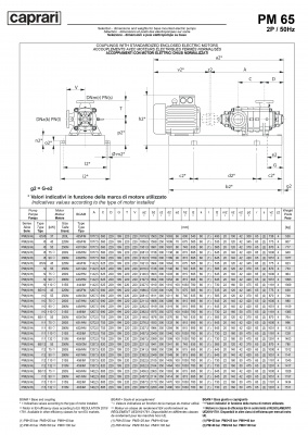 Горизонтальные многоступенчатые насосы высокого давления Caprari PM 65 2200 Горизонтальные многоступенчатые насосы высокого давления Caprari PM 65 2200