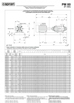 Горизонтальные многоступенчатые насосы высокого давления Caprari PM 80 1450 Горизонтальные многоступенчатые насосы высокого давления Caprari PM 80 1450