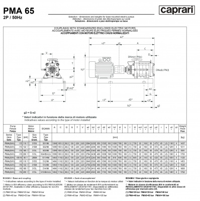 Горизонтальные многоступенчатые насосы высокого давления Caprari PMA 65 3500 Горизонтальные многоступенчатые насосы высокого давления Caprari PMA 65 3500