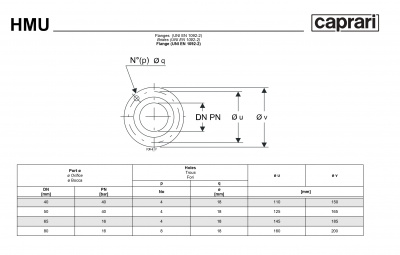 Горизонтальные секционные насосы высокого давления Caprari NMU 2900 Горизонтальные секционные насосы высокого давления Caprari NMU 2900