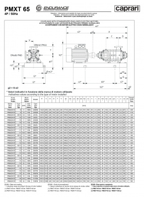 Горизонтальные секционные насосы высокого давления Caprari PMXT 65 2000 из нержавеющей стали Горизонтальные секционные насосы высокого давления Caprari PMXT 65 2000 из нержавеющей стали