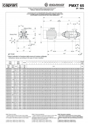 Горизонтальные секционные насосы высокого давления Caprari PMXT 65 2000 из нержавеющей стали Горизонтальные секционные насосы высокого давления Caprari PMXT 65 2000 из нержавеющей стали