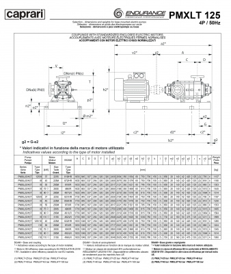 Горизонтальные секционные насосы высокого давления Caprari PMXLT 125 1750 из нержавеющей стали Горизонтальные секционные насосы высокого давления Caprari PMXLT 125 1750 из нержавеющей стали