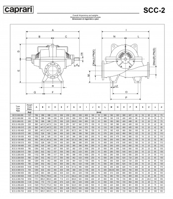 Горизонтальные насосы двустороннего входа Caprari SCC-2-100-250 1450 Горизонтальные насосы двустороннего входа Caprari SCC-2-100-250 1450