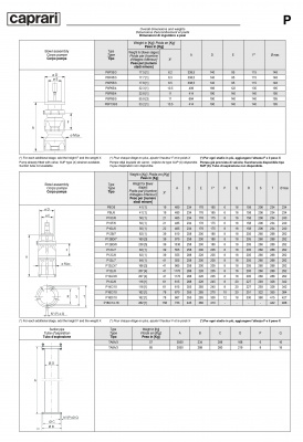 Вертикальные полупогружные насосы Caprari P14C Вертикальные полупогружные насосы Caprari P14C