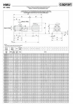 Горизонтальные секционные насосы высокого давления Caprari NMU 2200 Горизонтальные секционные насосы высокого давления Caprari NMU 2200