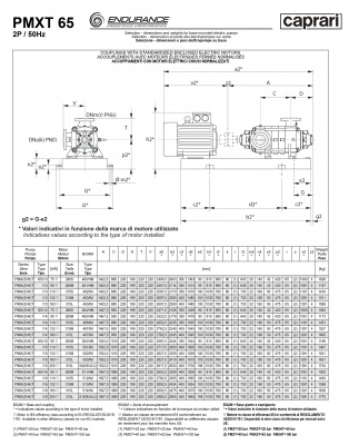 Горизонтальные секционные насосы высокого давления Caprari PMXT 65 2900 из нержавеющей стали Горизонтальные секционные насосы высокого давления Caprari PMXT 65 2900 из нержавеющей стали