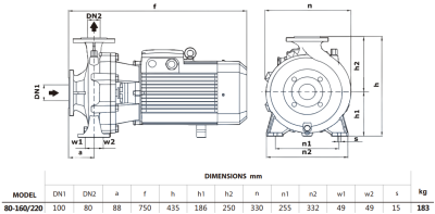 Центробежный насос Purity PSTG-R5 80-160/220