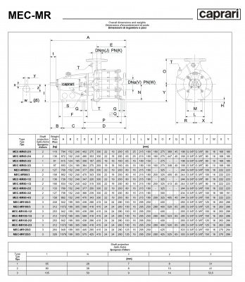 Горизонтальные многоступенчатые насосы Caprari MEC-MR 1750 Горизонтальные многоступенчатые насосы Caprari MEC-MR 1750