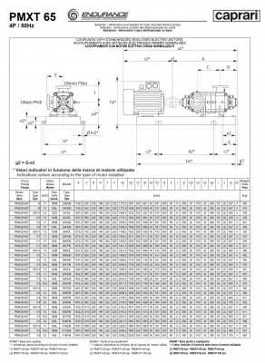 Горизонтальные секционные насосы высокого давления Caprari PMXT 65 1450 из нержавеющей стали Горизонтальные секционные насосы высокого давления Caprari PMXT 65 1450 из нержавеющей стали