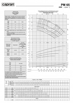 Горизонтальные многоступенчатые насосы высокого давления Caprari PM 65 2900 Горизонтальные многоступенчатые насосы высокого давления Caprari PM 65 2900