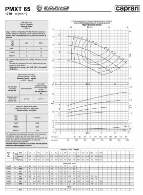 Горизонтальные секционные насосы высокого давления Caprari PMXT 65 1750 из нержавеющей стали Горизонтальные секционные насосы высокого давления Caprari PMXT 65 1750 из нержавеющей стали