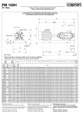 Горизонтальные многоступенчатые насосы высокого давления Caprari PM 100H 3500 Горизонтальные многоступенчатые насосы высокого давления Caprari PM 100H 3500