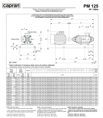 Горизонтальные многоступенчатые насосы высокого давления Caprari PM 125 1450 Горизонтальные многоступенчатые насосы высокого давления Caprari PM 125 1450