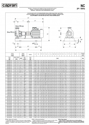 Одноступенчатые горизонтальные центробежные насосы Caprari NC 100-250 2900 Одноступенчатые горизонтальные центробежные насосы Caprari NC 100-250 2900
