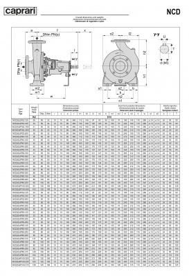 Одноступенчатые горизонтальные центробежные насосы Caprari NCDS 2P40-160 3450 Одноступенчатые горизонтальные центробежные насосы Caprari NCDS 2P40-160 3450