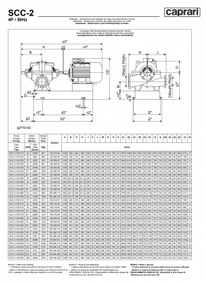 Горизонтальные насосы двустороннего входа Caprari SCC-2-125-315 2900 Горизонтальные насосы двустороннего входа Caprari SCC-2-125-315 2900
