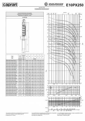 Скважинные насосы Caprari E10PX250 из нержавеющей стали Скважинные насосы Caprari E10PX250 из нержавеющей стали
