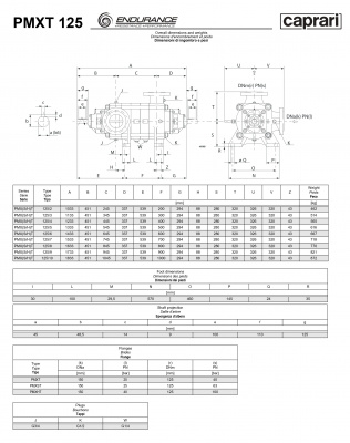 Горизонтальные секционные насосы высокого давления Caprari PMXT 125 2900 из нержавеющей стали Горизонтальные секционные насосы высокого давления Caprari PMXT 125 2900 из нержавеющей стали