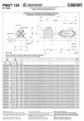 Горизонтальные секционные насосы высокого давления Caprari PMXT 125 2000 из нержавеющей стали Горизонтальные секционные насосы высокого давления Caprari PMXT 125 2000 из нержавеющей стали