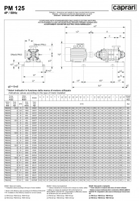 Горизонтальные многоступенчатые насосы высокого давления Caprari PM 125 2000 Горизонтальные многоступенчатые насосы высокого давления Caprari PM 125 2000