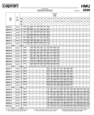 Горизонтальные секционные насосы высокого давления Caprari NMU 2000 Горизонтальные секционные насосы высокого давления Caprari NMU 2000