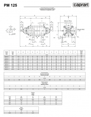 Горизонтальные многоступенчатые насосы высокого давления Caprari PM 125 1750 Горизонтальные многоступенчатые насосы высокого давления Caprari PM 125 1750