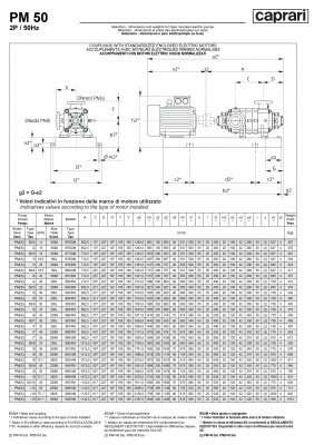Горизонтальные многоступенчатые насосы высокого давления Caprari PM 50 2900 Горизонтальные многоступенчатые насосы высокого давления Caprari PM 50 2900