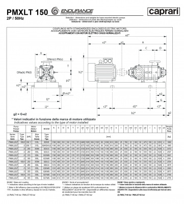 Горизонтальные секционные насосы высокого давления Caprari PMXLT 150 2200 из нержавеющей стали Горизонтальные секционные насосы высокого давления Caprari PMXLT 150 2200 из нержавеющей стали