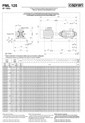 Горизонтальные многоступенчатые насосы высокого давления Caprari PML 125 2000 Горизонтальные многоступенчатые насосы высокого давления Caprari PML 125 2000