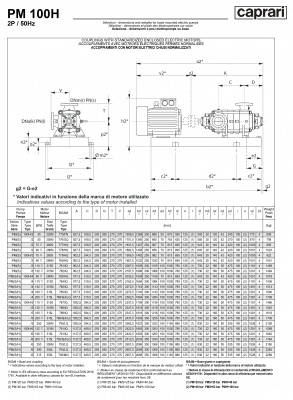 Горизонтальные многоступенчатые насосы высокого давления Caprari PM 100 2000 Горизонтальные многоступенчатые насосы высокого давления Caprari PM 100 2000
