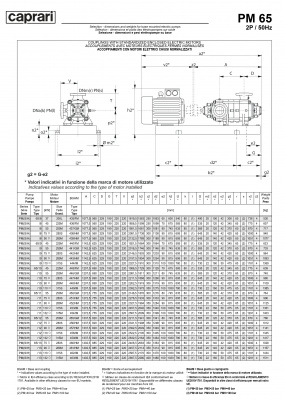 Горизонтальные многоступенчатые насосы высокого давления Caprari PM 65 2900 Горизонтальные многоступенчатые насосы высокого давления Caprari PM 65 2900