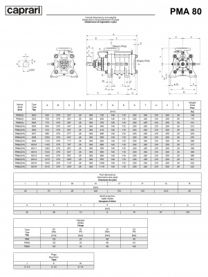 Горизонтальные многоступенчатые насосы высокого давления Caprari PMA 80 1450 Горизонтальные многоступенчатые насосы высокого давления Caprari PMA 80 1450