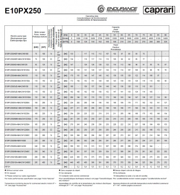 Скважинные насосы Caprari E10PX250 из нержавеющей стали Скважинные насосы Caprari E10PX250 из нержавеющей стали