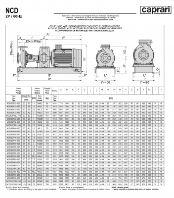 Одноступенчатые горизонтальные центробежные насосы Caprari NCDS 2P80-200 3450 Одноступенчатые горизонтальные центробежные насосы Caprari NCDS 2P80-200 3450
