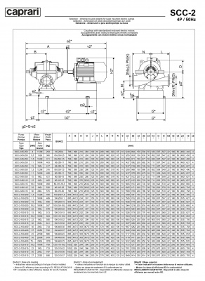 Горизонтальные насосы двустороннего входа Caprari SCC-2-100-250 2900 Горизонтальные насосы двустороннего входа Caprari SCC-2-100-250 2900