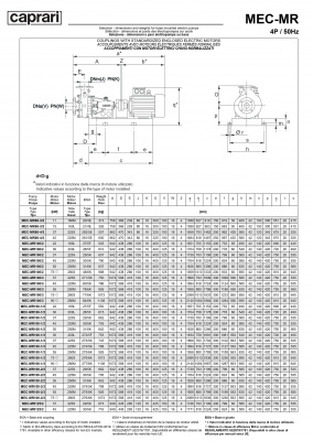Горизонтальные многоступенчатые насосы Caprari MEC-MR 1450 Горизонтальные многоступенчатые насосы Caprari MEC-MR 1450