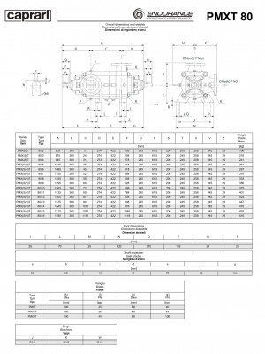 Горизонтальные секционные насосы высокого давления Caprari PMXT 80 1750 из нержавеющей стали Горизонтальные секционные насосы высокого давления Caprari PMXT 80 1750 из нержавеющей стали