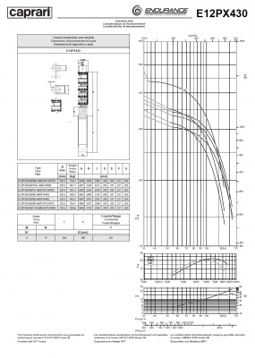 Скважинные насосы Caprari E12PX430 из нержавеющей стали Скважинные насосы Caprari E12PX430 из нержавеющей стали