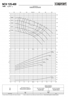 Одноступенчатые горизонтальные центробежные насосы Caprari NCH 125-400 1450 Одноступенчатые горизонтальные центробежные насосы Caprari NCH 125-400 1450
