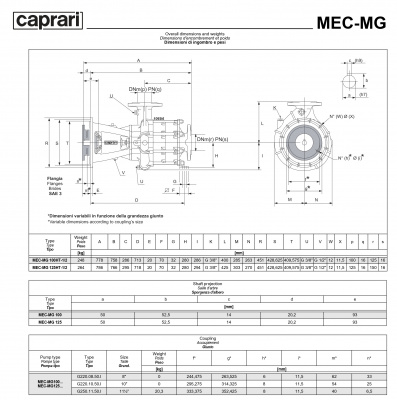 Фланцевый насос Caprari MEC-MG, MEC-AG, BHG 1600 для дизельного двигателя