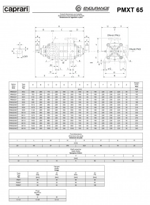 Горизонтальные секционные насосы высокого давления Caprari PMXT 65 2200 из нержавеющей стали Горизонтальные секционные насосы высокого давления Caprari PMXT 65 2200 из нержавеющей стали