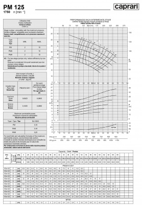 Горизонтальные многоступенчатые насосы высокого давления Caprari PM 125 1750 Горизонтальные многоступенчатые насосы высокого давления Caprari PM 125 1750